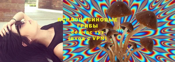 винт Сафоново